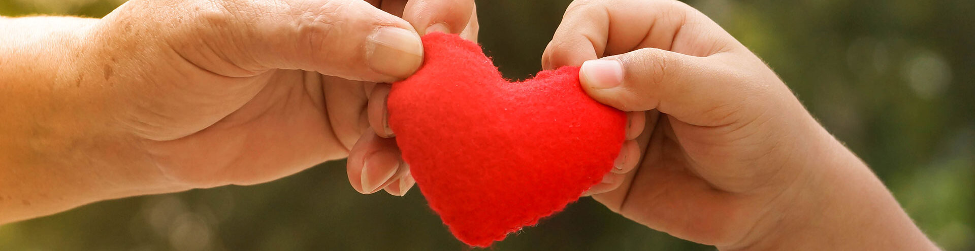 two hands holding a small red felt heart